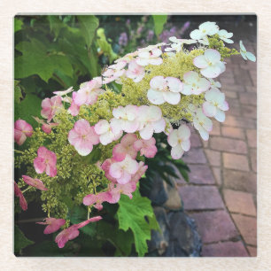 Flowers at Chateau Morrisette Winery, Floyd, VA Glass Coaster