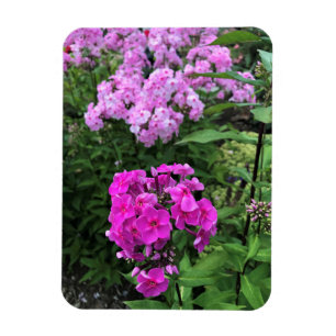 Flowers at Chateau Morrisette Winery, Floyd, VA Magnet