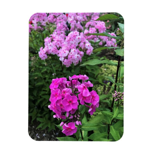 Flowers at Chateau Morrisette Winery, Floyd, VA Magnet (Vertical)