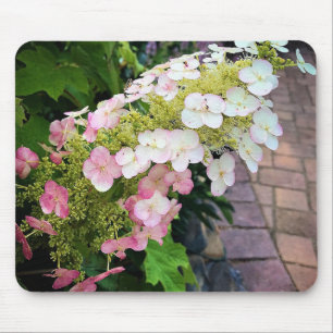 Flowers at Chateau Morrisette Winery, Floyd, VA Mouse Pad