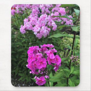 Flowers at Chateau Morrisette Winery, Floyd, VA Mouse Pad