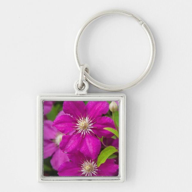 Flowers at Robinette's Apple Haus and Gift Barn 2 Key Ring (Front)