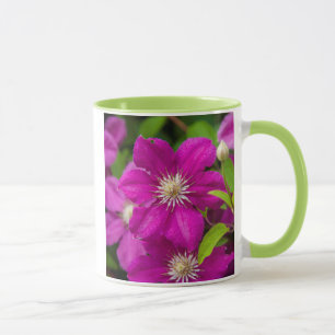 Flowers at Robinette's Apple Haus and Gift Barn 2 Mug
