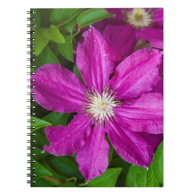 Flowers at Robinette's Apple Haus and Gift Barn Notebook (Front)