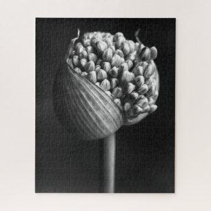 Flowers B&W Allium Flower Bud Jigsaw Puzzle
