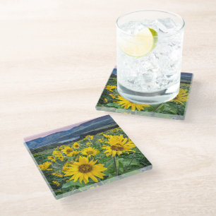 Flowers Balsomroot Columbia River, Oregon Glass Coaster