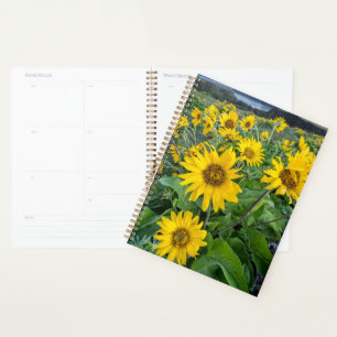 Flowers Balsomroot Columbia River, Oregon Planner
