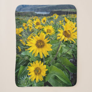 Flowers Balsomroot Columbia River, Oregon Sherpa Blanket