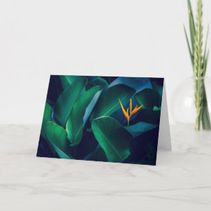 Flowers Bird of Paradise Card