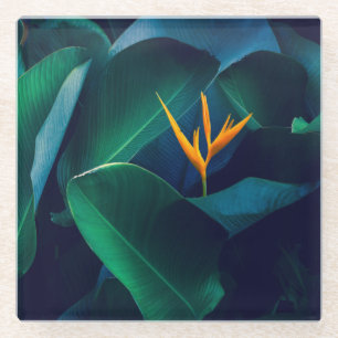 Flowers Bird of Paradise Glass Coaster