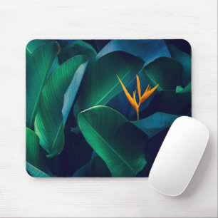 Flowers Bird of Paradise Mouse Pad