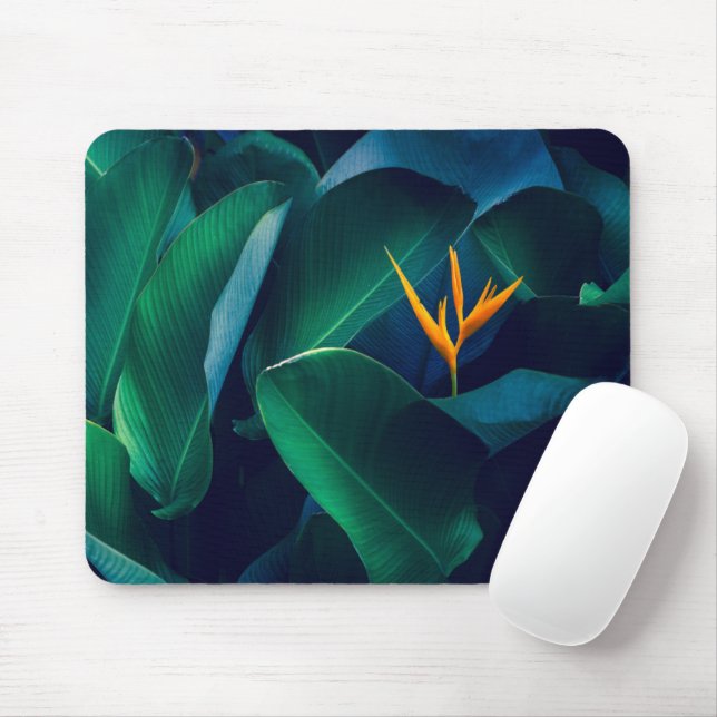 Flowers | Bird of Paradise Mouse Pad (With Mouse)