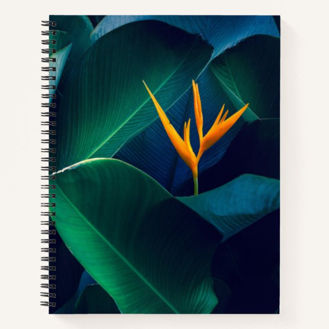 Flowers | Bird of Paradise Notebook (Front)