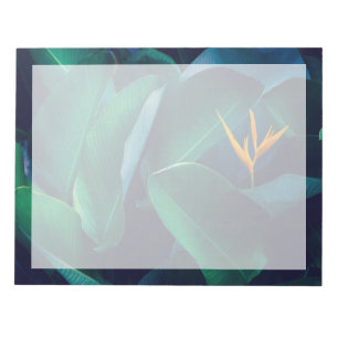 Flowers Bird of Paradise Notepad