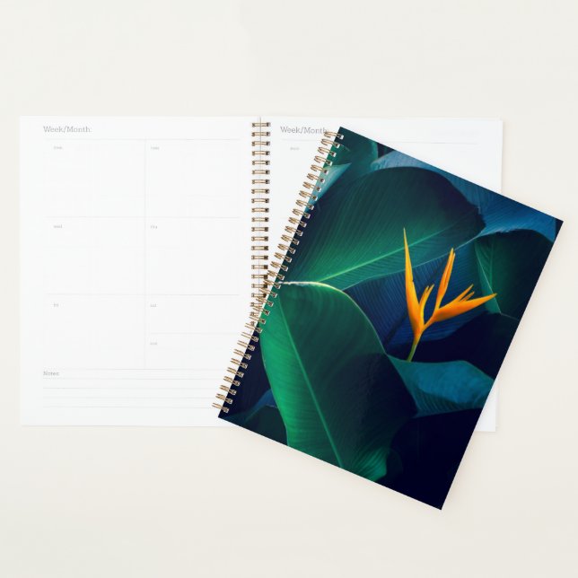 Flowers | Bird of Paradise Planner (Display)