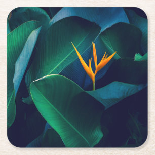 Flowers Bird of Paradise Square Paper Coaster