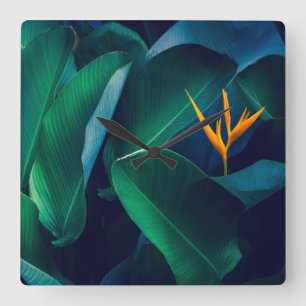 Flowers   Bird of Paradise Square Wall Clock