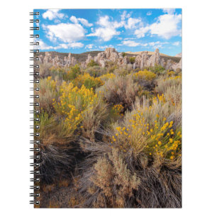 Flowers Blooming Sagebrush California Notebook