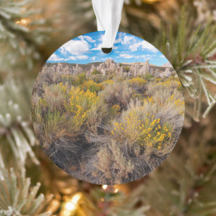 Flowers Blooming Sagebrush California Ornament