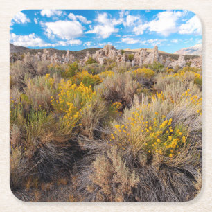 Flowers   Blooming Sagebrush California Square Paper Coaster