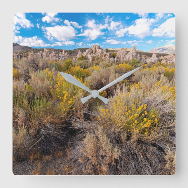 Flowers | Blooming Sagebrush California Square Wall Clock (Front)