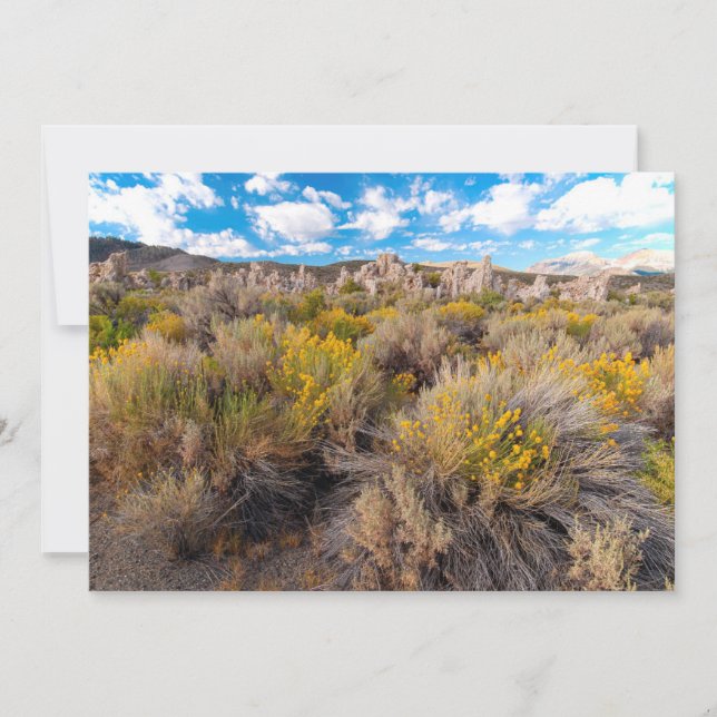 Flowers | Blooming Sagebrush California Thank You Card (Front)