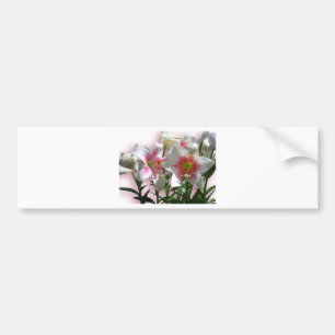 Flowers Blossoms Spring Garden Love Shower Party Bumper Sticker