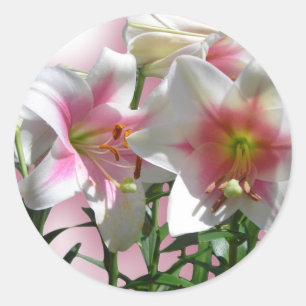 Flowers Blossoms Spring Garden Love Shower Party Classic Round Sticker