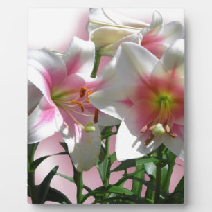 Flowers Blossoms Spring Garden Love Shower Party Plaque