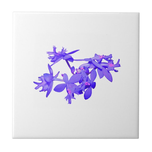 Flowers Blue Tinted Ground Orchid Ceramic Tile (Front)