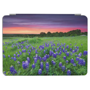 Flowers   Bluebonnets at Sunset Texas iPad Air Cover
