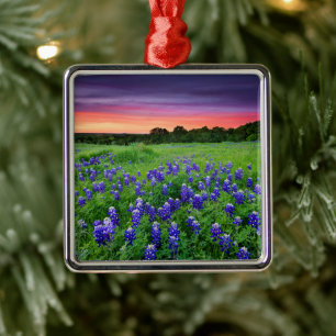 Flowers   Bluebonnets at Sunset Texas Metal Ornament