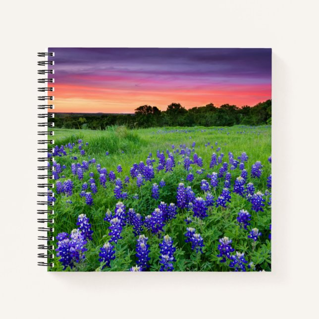 Flowers | Bluebonnets at Sunset Texas Notebook (Front)