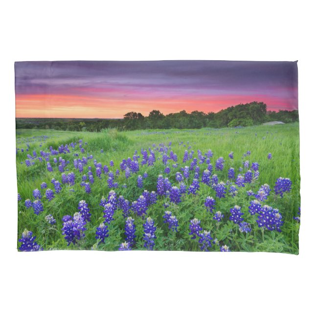 Flowers | Bluebonnets at Sunset Texas Pillowcase (Front)