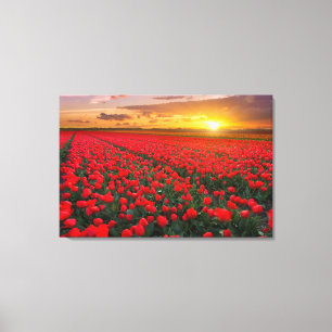 Flowers Botanical Garden Holland Canvas Print