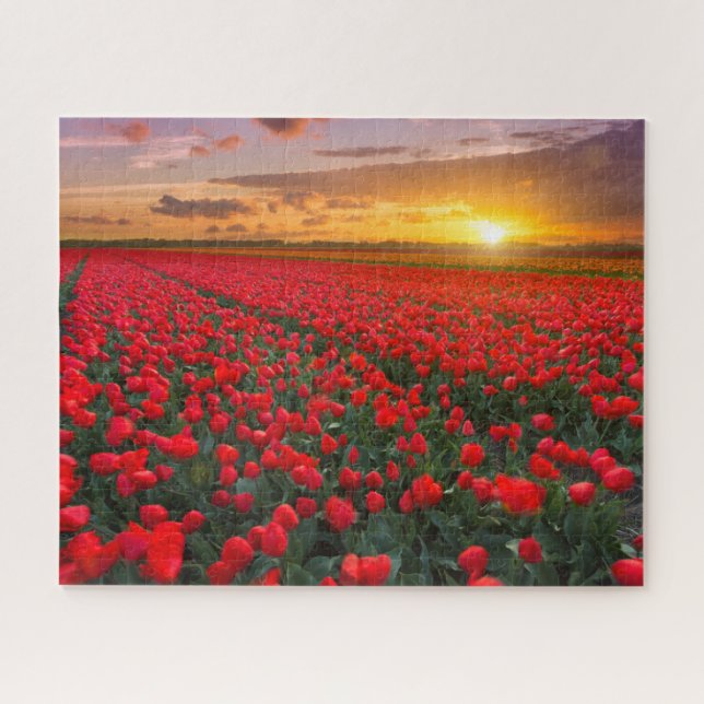 Flowers | Botanical Garden Holland Jigsaw Puzzle (Horizontal)
