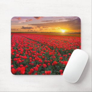 Flowers   Botanical Garden Holland Mouse Pad