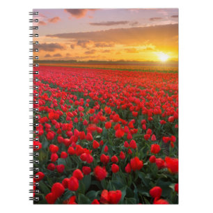 Flowers Botanical Garden Holland Notebook