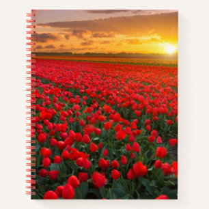 Flowers Botanical Garden Holland Notebook