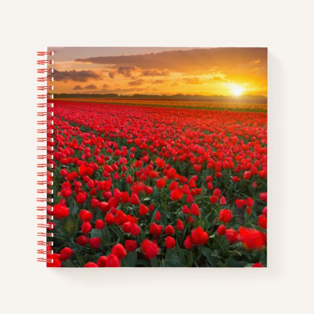 Flowers | Botanical Garden Holland Notebook (Front)