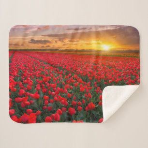 Flowers Botanical Garden Holland Sherpa Blanket