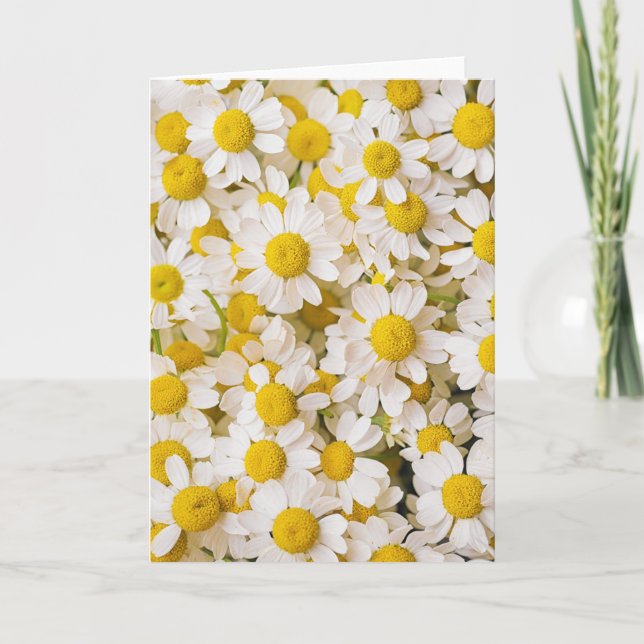 Flowers | Bunch of Chamomiles Card (Front)
