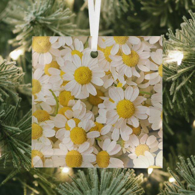 Flowers | Bunch of Chamomiles Glass Tree Decoration (Insitu)