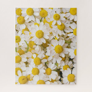 Flowers Bunch of Chamomiles Jigsaw Puzzle