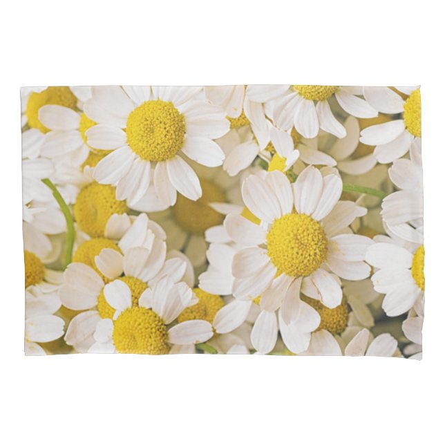 Flowers | Bunch of Chamomiles Pillowcase (Front)