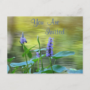 Flowers By The Pond Invitation Postcard