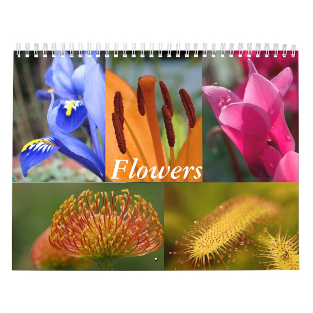 Flowers Calendar (Cover)
