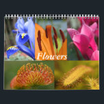 Flowers Calendar<br><div class="desc">Flowers Calendar. Customise by selecting your desired 12 month date range</div>