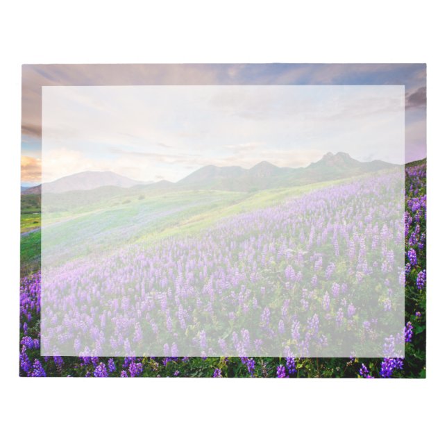 Flowers | California Wildflowers Notepad (Front)