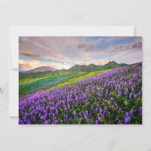 Flowers   California Wildflowers Thank You Card
